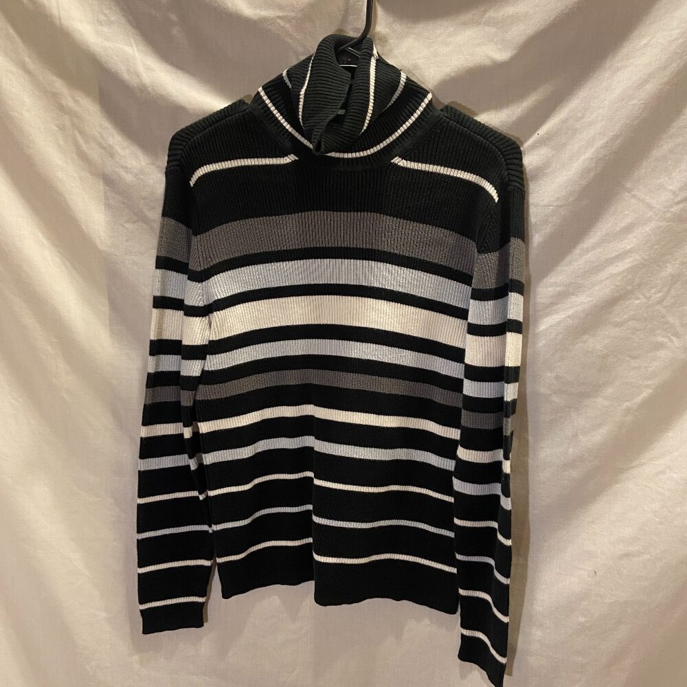 Striped Long Sleeve Turtleneck